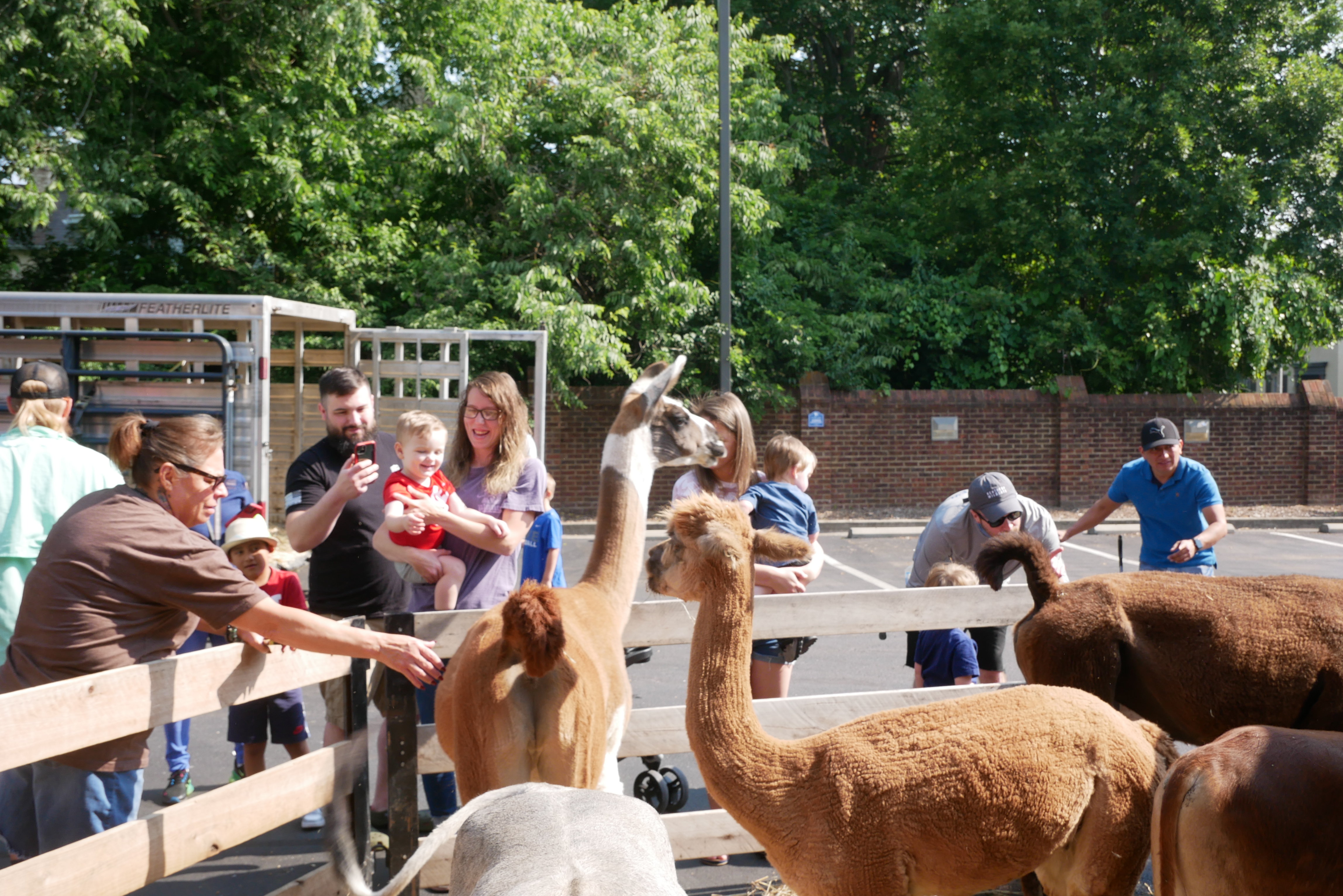 zoo 4