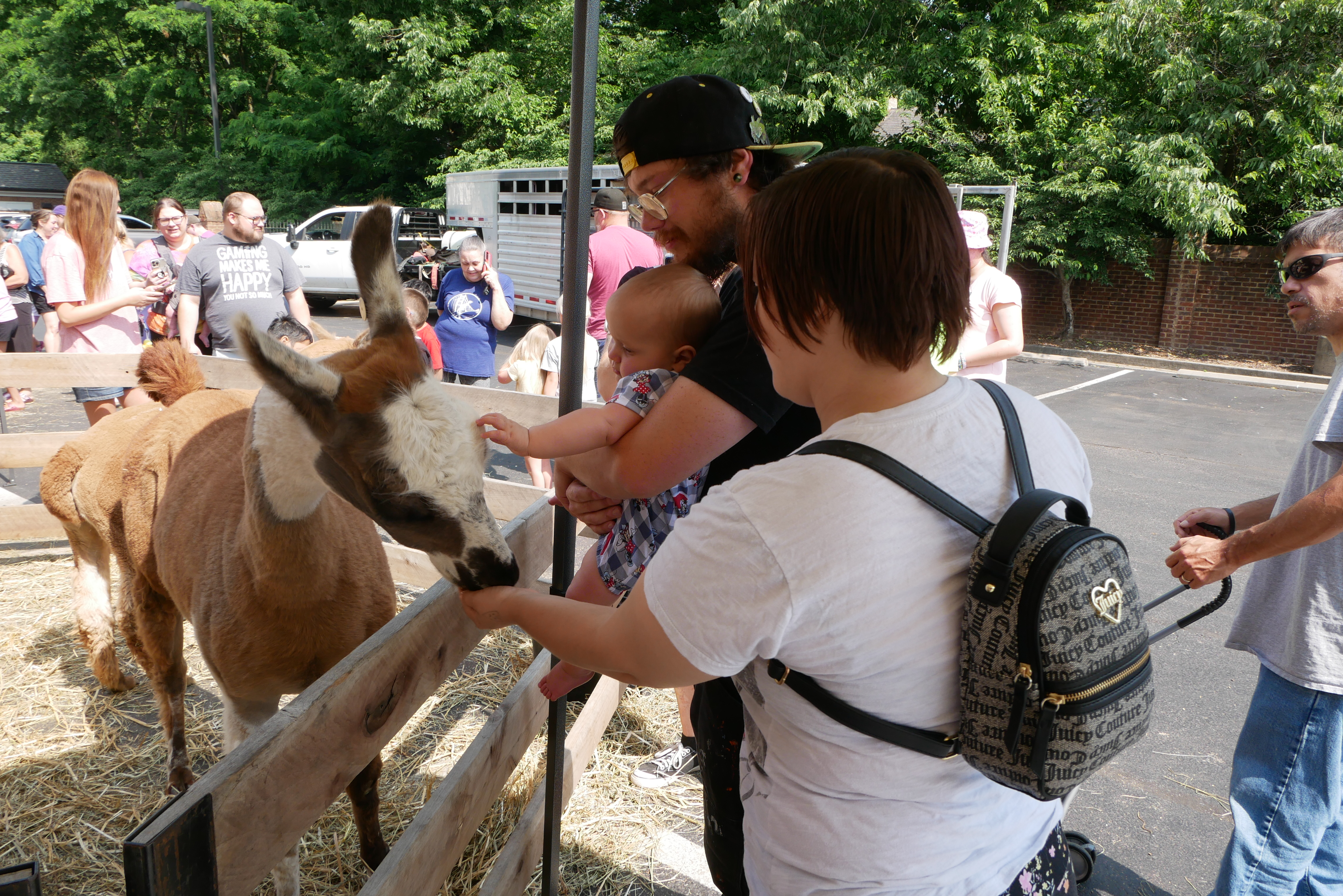 zoo 2