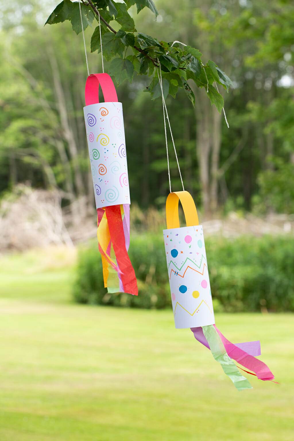 Picture of two homemade windsocks that are hanging from a tree.